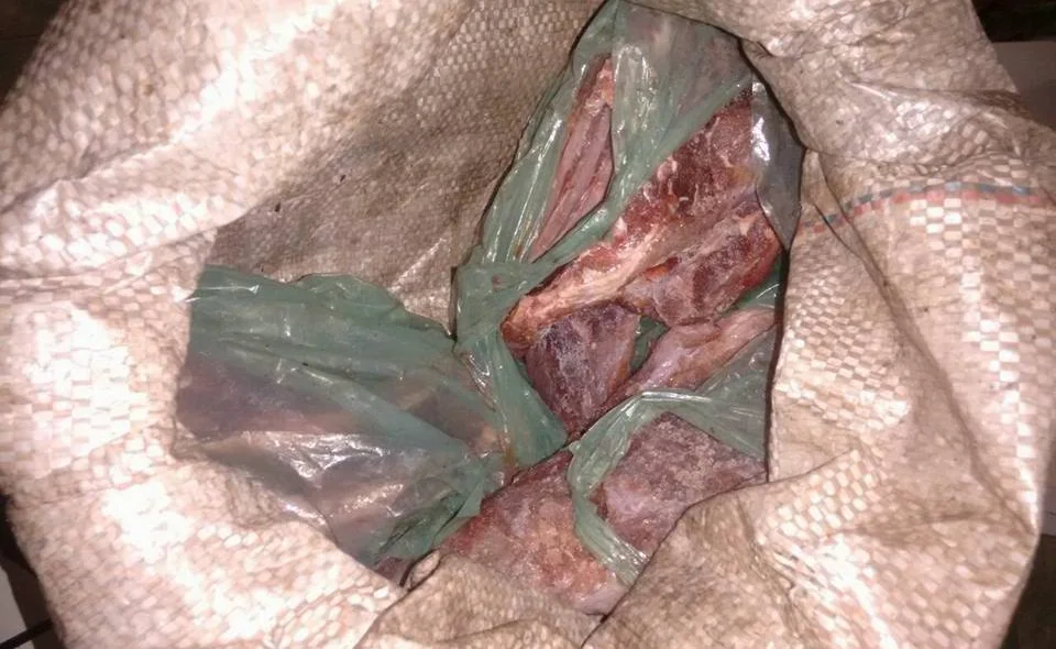 15 kg de animais abatidos 