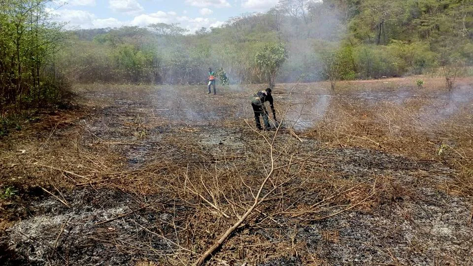 Combate ao desmatamento e queima irregular de áreas florestais  