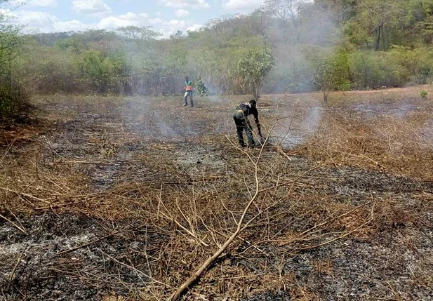 Combate ao desmatamento e queima irregular de áreas florestais  