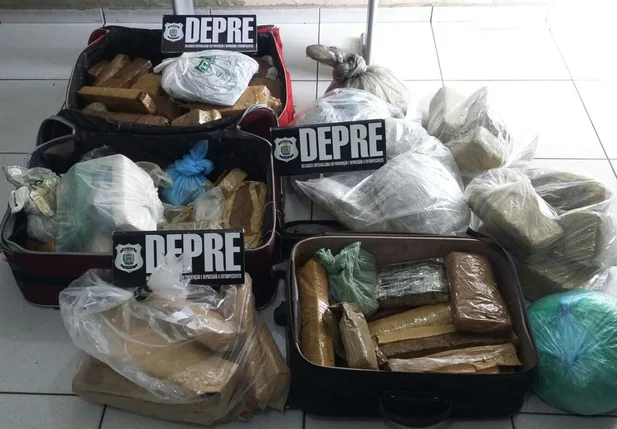 Depre incinera 200kg de drogas em Teresina