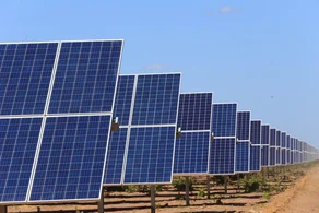 Placas solares no Complexo Solar Fotovoltaico Nova Olinda