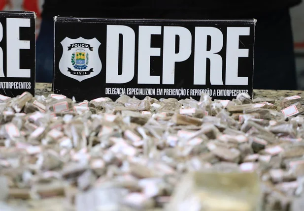Depre realizou a operação 