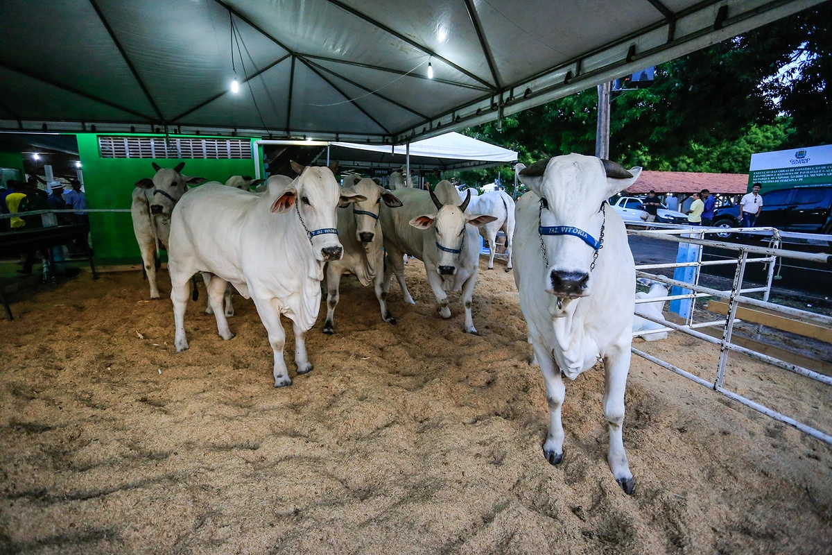 67ª Exposição Agropecuária do Piauí  