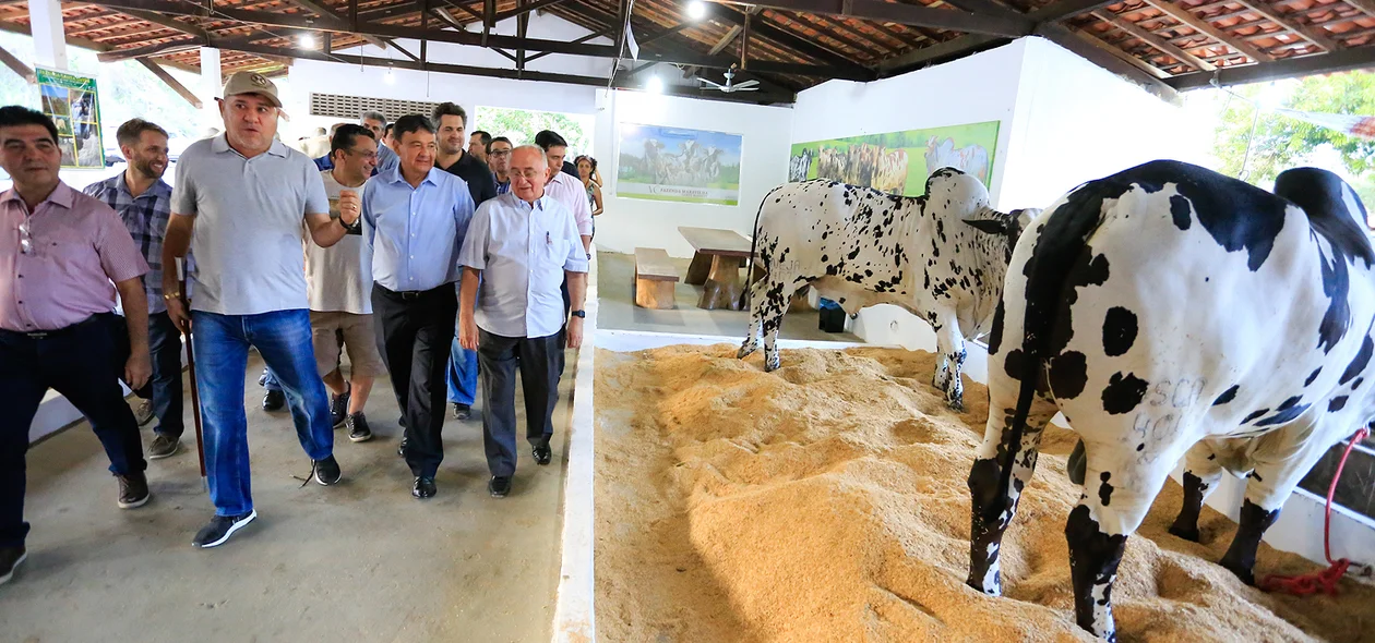 Governador participa da abertura da 67ª edição da Expoapi