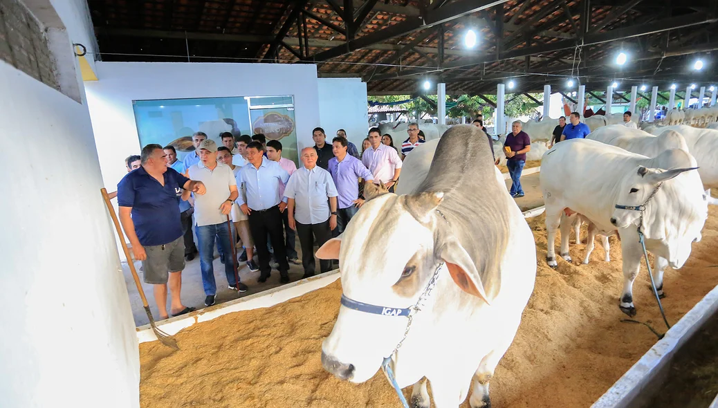Governador Wellington Dias na Expoapi 