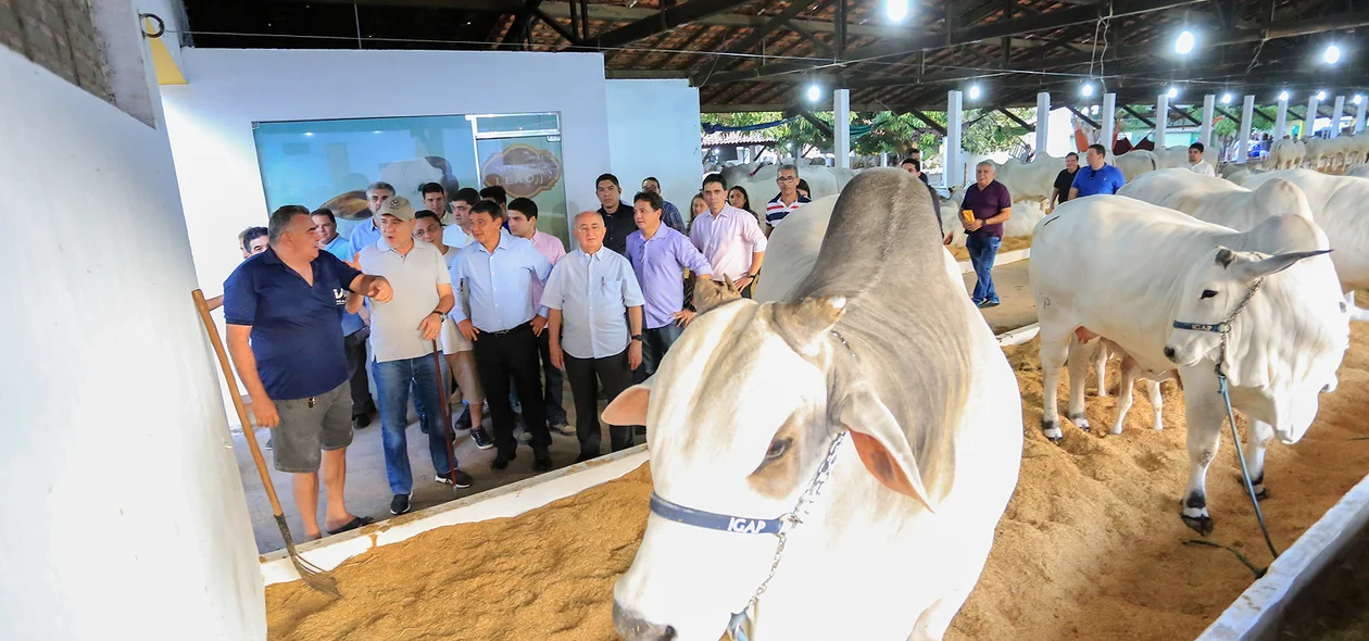 Governador Wellington Dias na Expoapi 