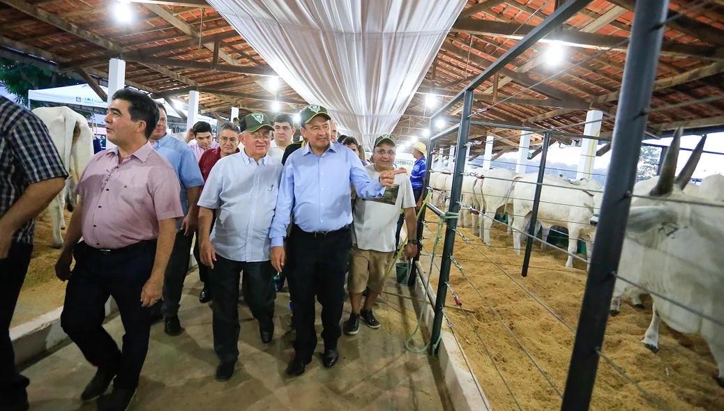 Wellington visitando estandes na Expoapi 