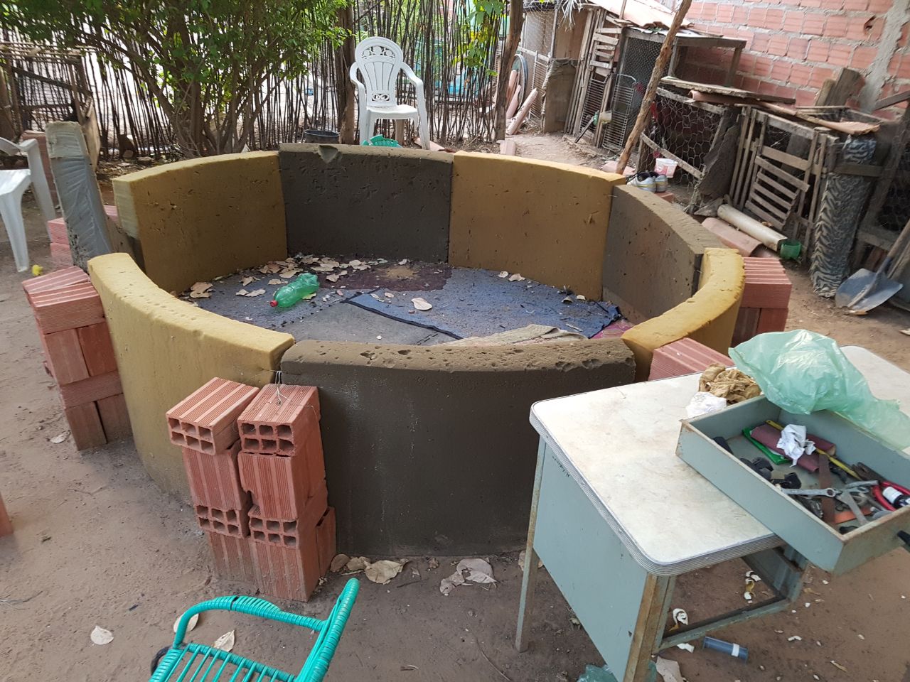Rinha de galo