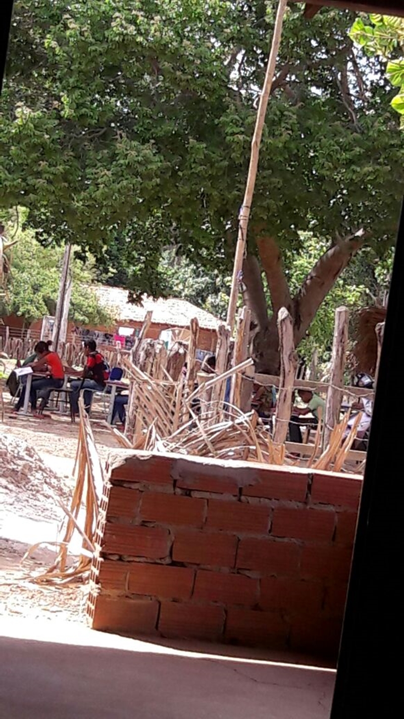Alunos assistem aulas debaixo de pé de Caju em Jardim do Mulato