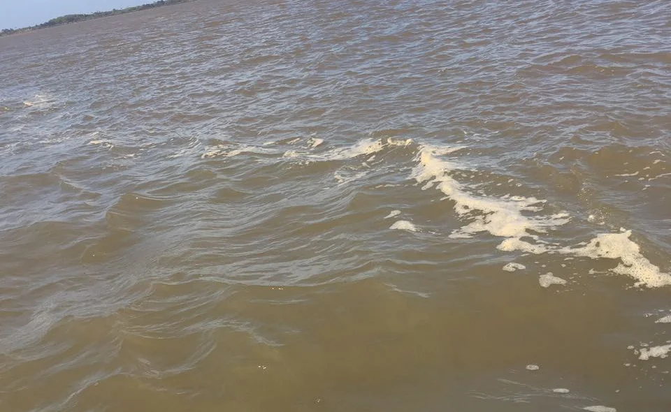 Delta do Parnaíba
