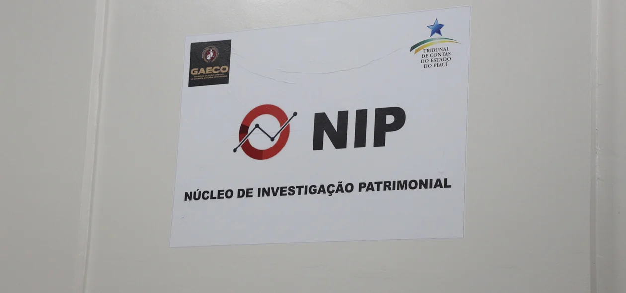 Núcleo de Investigação Patrimonial