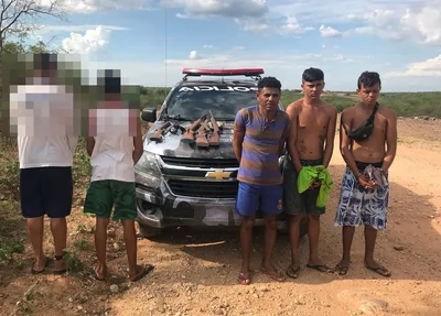 Quadrilha desarticulada pela PM de Paulistana