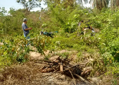 Corpo encontrado carbonizado em Timon