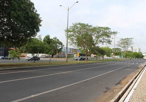 Avenida João XXIII