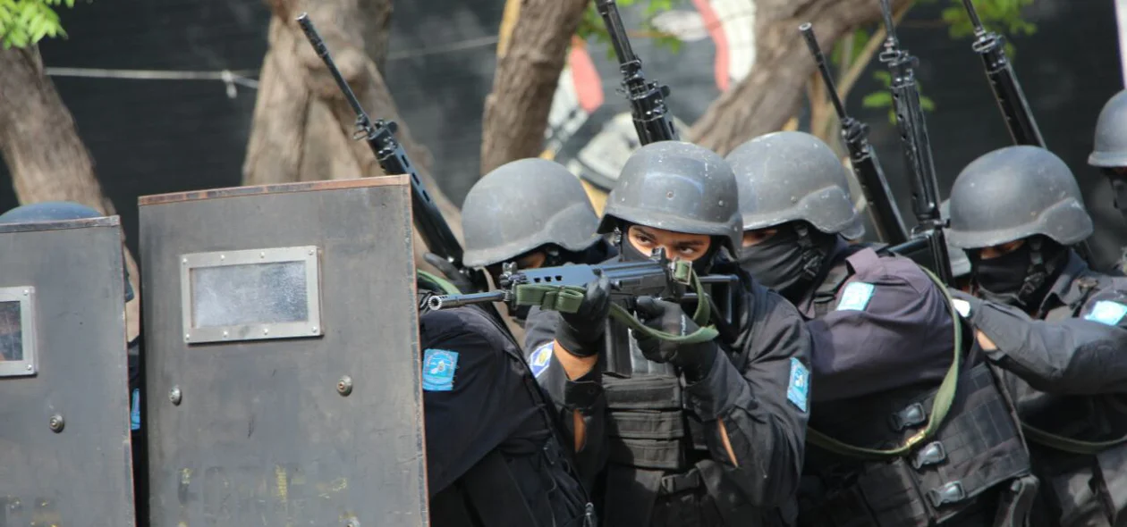 Grupo de Operações Especiais