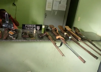 Armas apreendidas