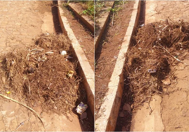 Moradores reclamam da limpeza pública em Jardim do Mulato