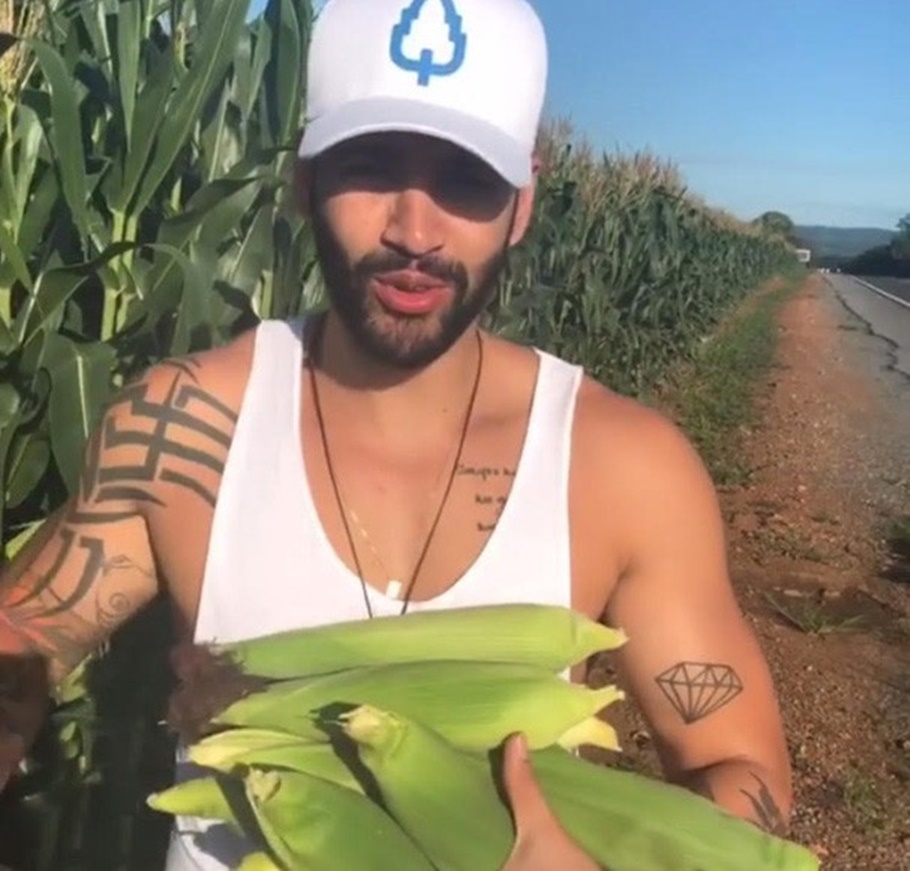 Cantor Gusttavo Lima roubando milho na estrada