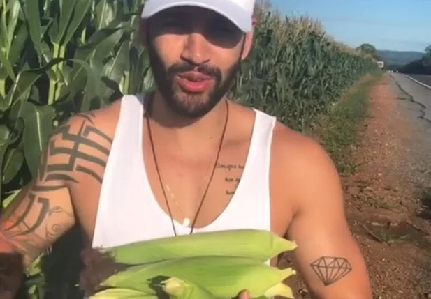 Cantor Gusttavo Lima roubando milho na estrada