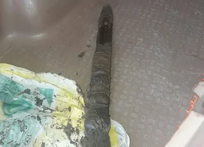 Arma usada no crime