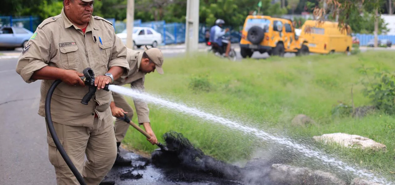O Corpo de Bombeiros foi acionado para apagar as chamas