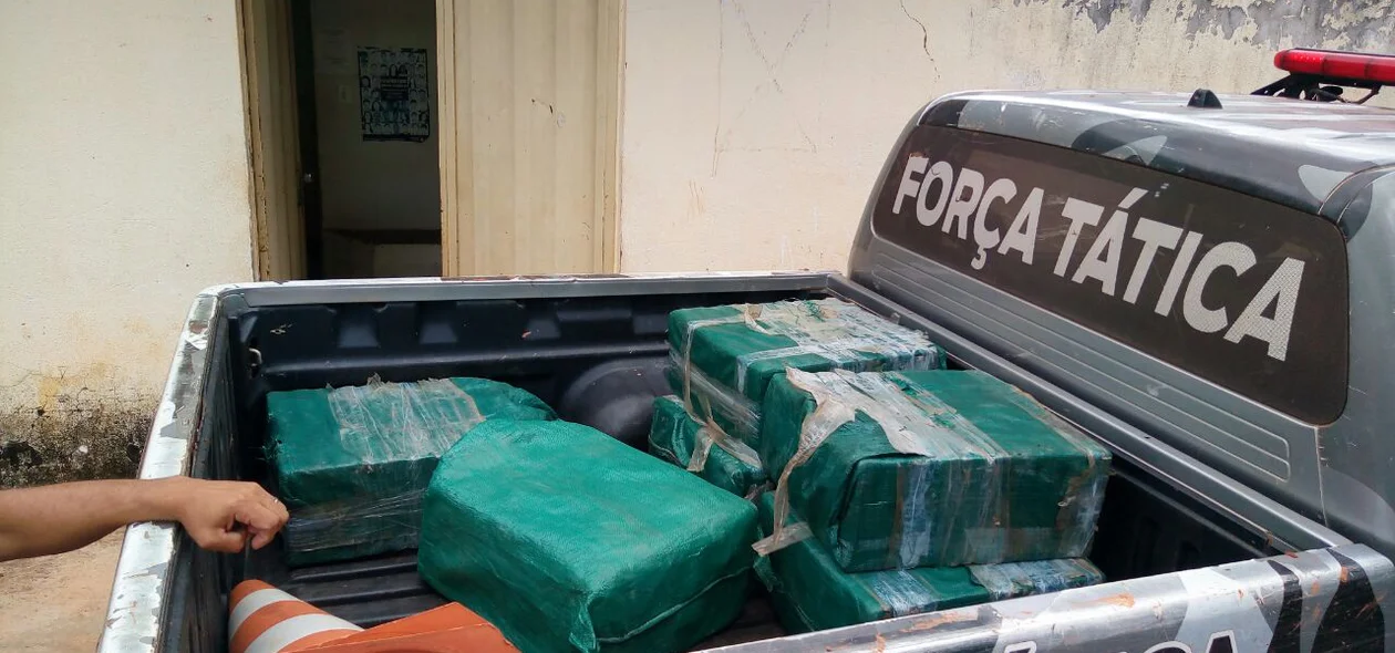 Droga apreendida dentro da aeronave clandestina em Barreiras do Piauí
