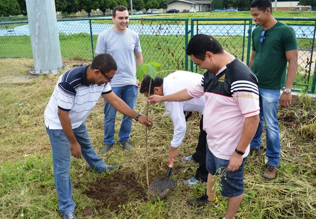 Plantio de mudas é realizado no setor de esportes da Universidade Federal do Piauí