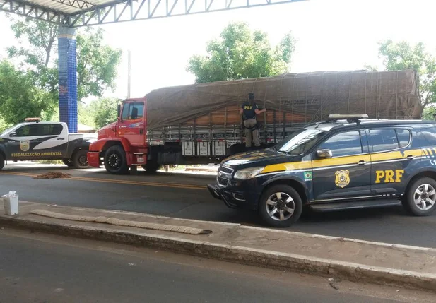 PRF apreende 34 toneladas de madeira ilegal em Floriano