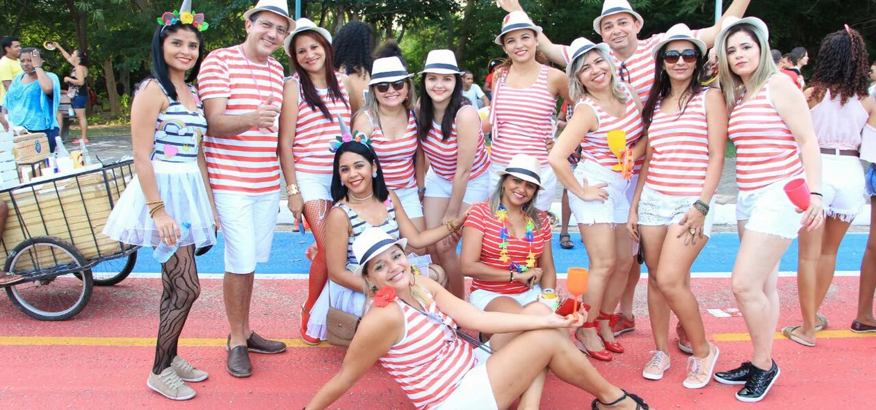 Turma se reúne para ir caracterizada ao Corso 2018 em Teresina