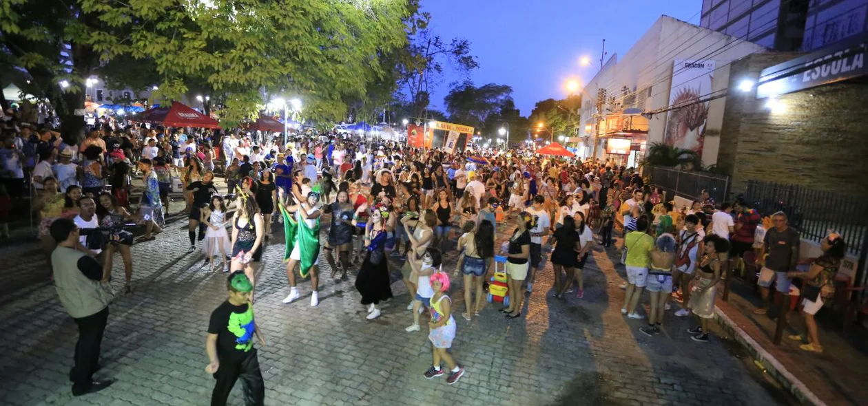 Bloco Sanatório geral reúne foliões animados em Teresina