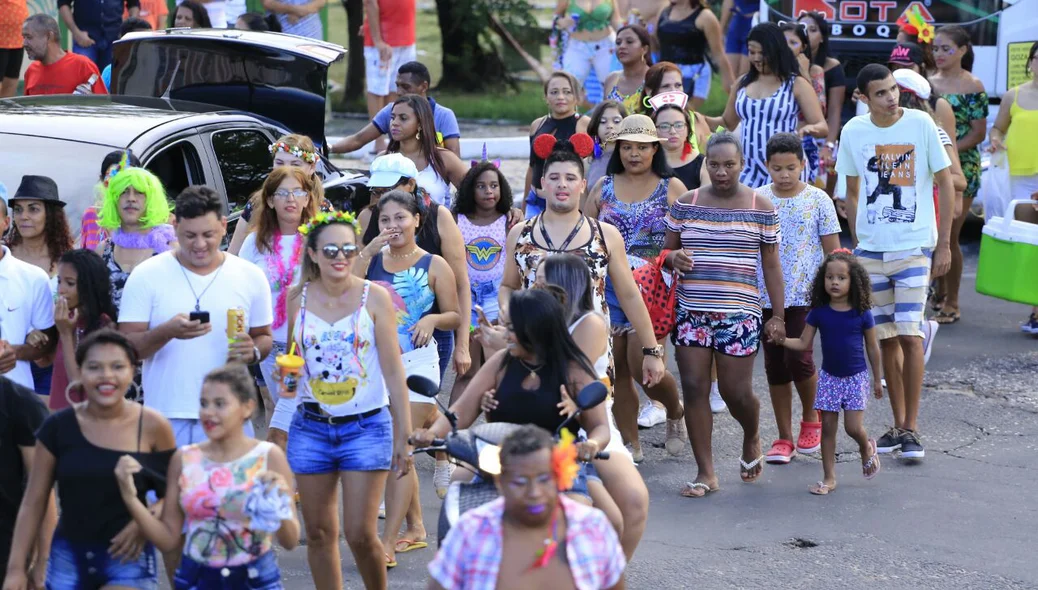 Bloco Vaca Atolada é o destino de foliões em Teresina