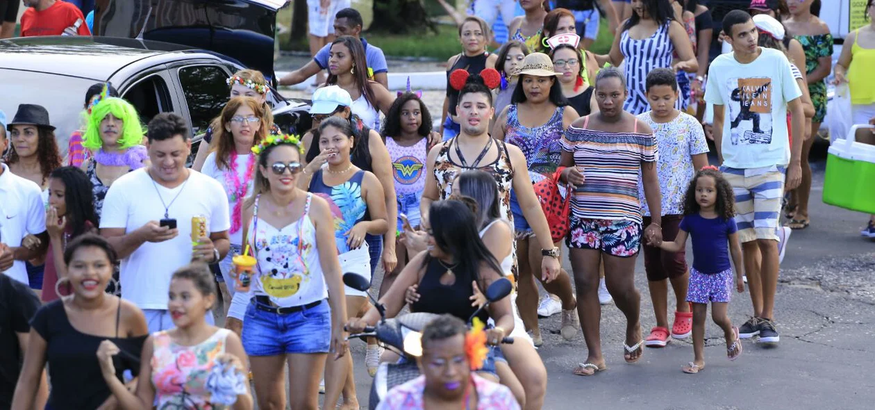 Bloco Vaca Atolada é o destino de foliões em Teresina