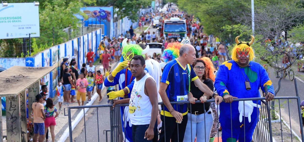  Bloco Vaca Atolada em Teresina Piauí 