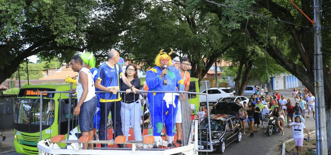 Desfile do bloco Vaca Atolada pela zona norte de Teresina