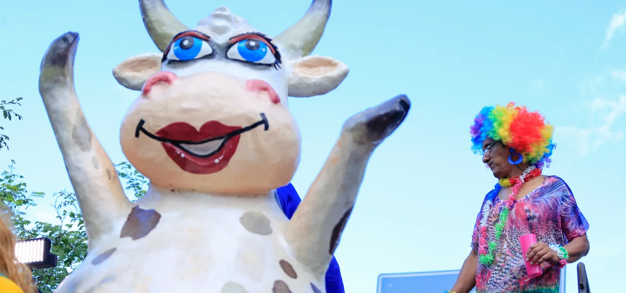 Vaca Atolada em Teresina Piauí 
