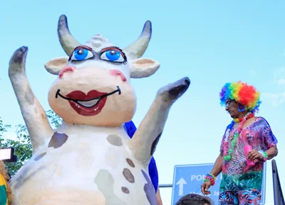 Vaca Atolada em Teresina Piauí 