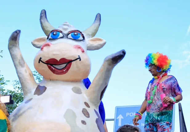 Vaca Atolada em Teresina Piauí 