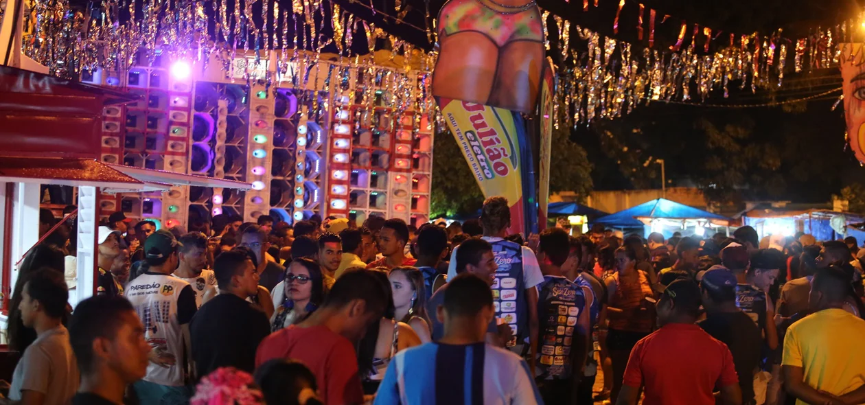 Carnaval em Altos atraiu muitos foliões no calçadão da Praça Cônego Honório.