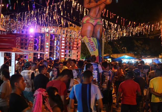 Carnaval em Altos atraiu muitos foliões no calçadão da Praça Cônego Honório.