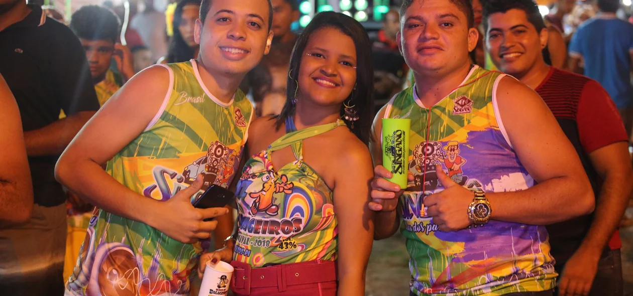 Foliões curtem o Carnaval de Altos