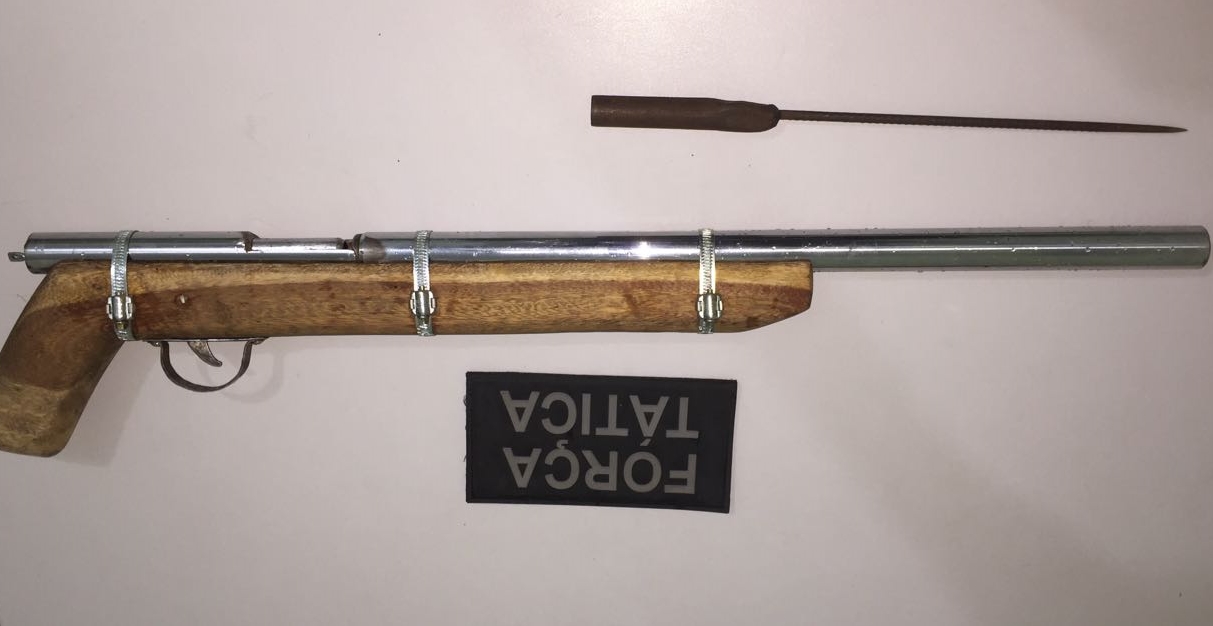 Armas encontradas com Zé Gotinha e Blade em União