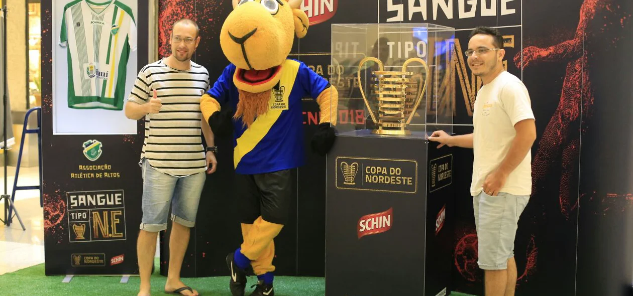 Piauienses visitam Taça da Copa do Nordeste 