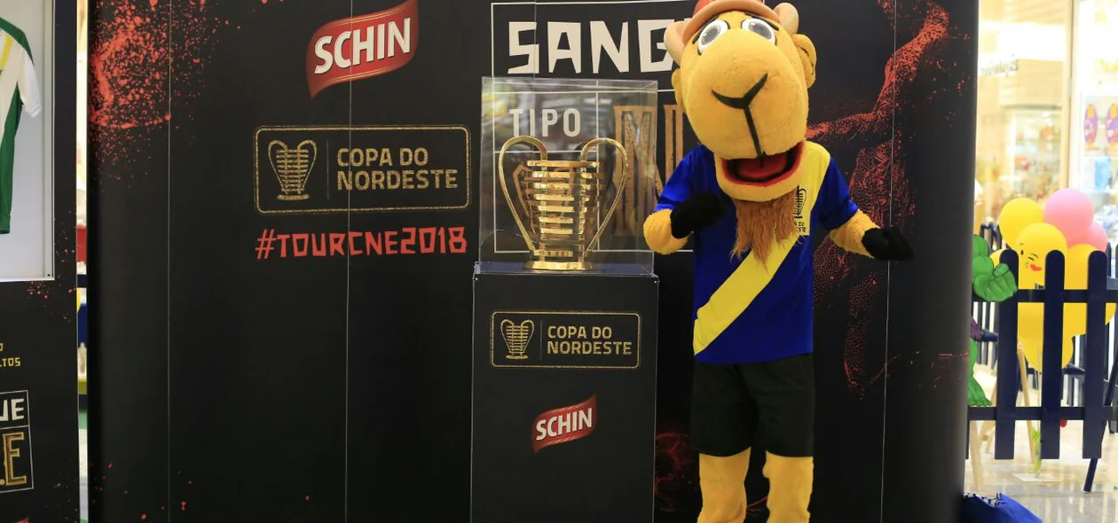 Taça Copa do Nordeste em visita a Teresina 