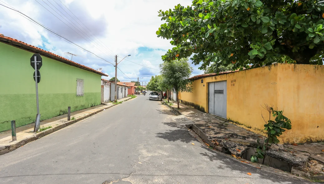 Moradores colocaram uma árvore dentro da galeria no bairro Dirceu 