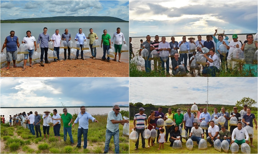 Programa de peixamento da Semar lança 1,5 milhão de alevinos no Sul do Estado