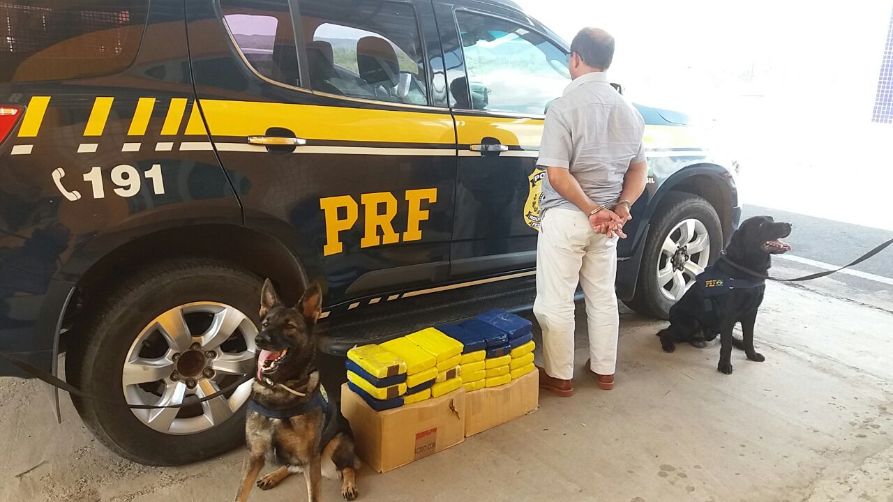 Drogas encontradas com passageiro de ônibus 