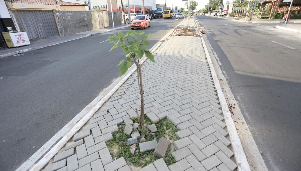 Novo Calçamento