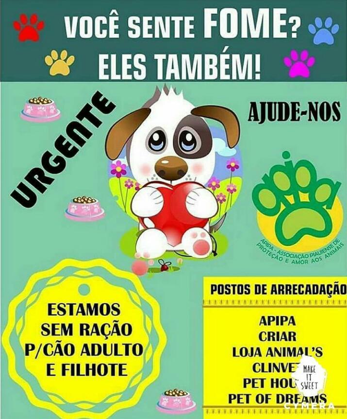 APIPA precisa de doação de ração para cães e gatos.