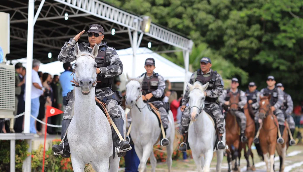 Revista da cavalaria à tropa