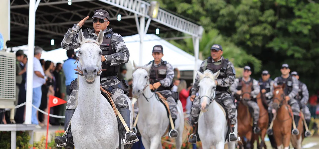 Revista da cavalaria à tropa